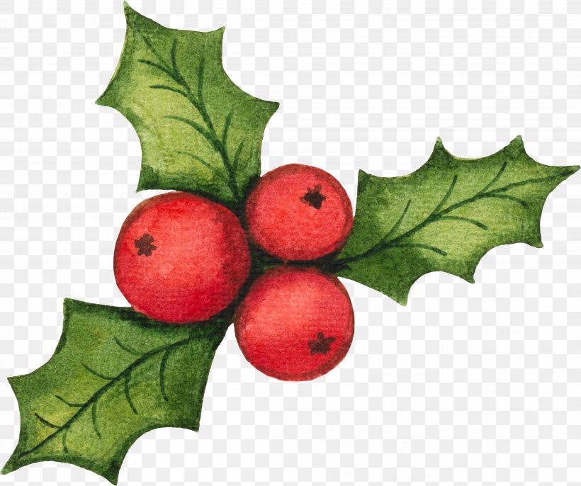 Santa Claus Vector Graphics Clip Art Christmas Decoration Illustration, PNG, 4418x3700px, Santa Claus, Aquifoliaceae, Aquifoliales, Berry, Christmas Day Download Free