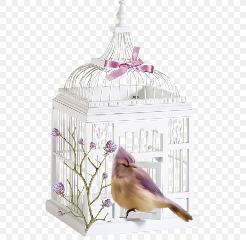 Cage Bird, PNG, 517x800px, Cage, Bird, Birdcage, Birdhouse, Box Download Free