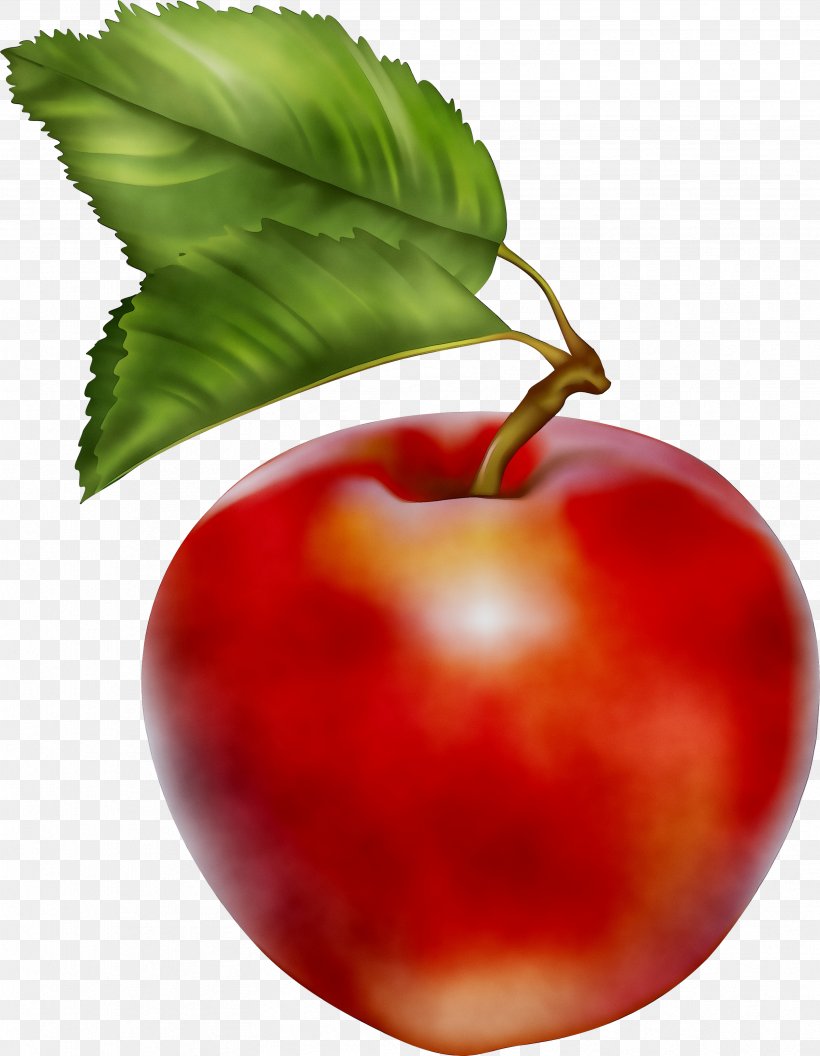 Clip Art Openclipart Image Free Content, PNG, 3336x4297px, Apple, Acerola, Cherry, Drawing, European Plum Download Free