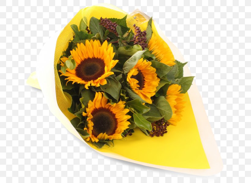 Floral Design Common Sunflower Cut Flowers Sunflower Seed, PNG, 700x600px, Floral Design, Common Sunflower, Cut Flowers, Floristry, Flower Download Free