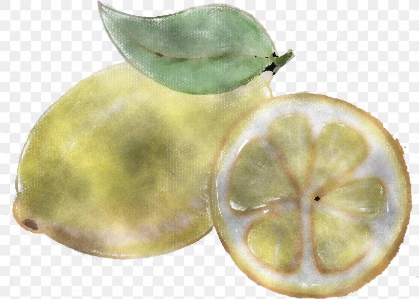 Fruit Lemon Citrus Plant Food, PNG, 1407x1005px, Fruit, Citrus, Food, Lemon, Plant Download Free