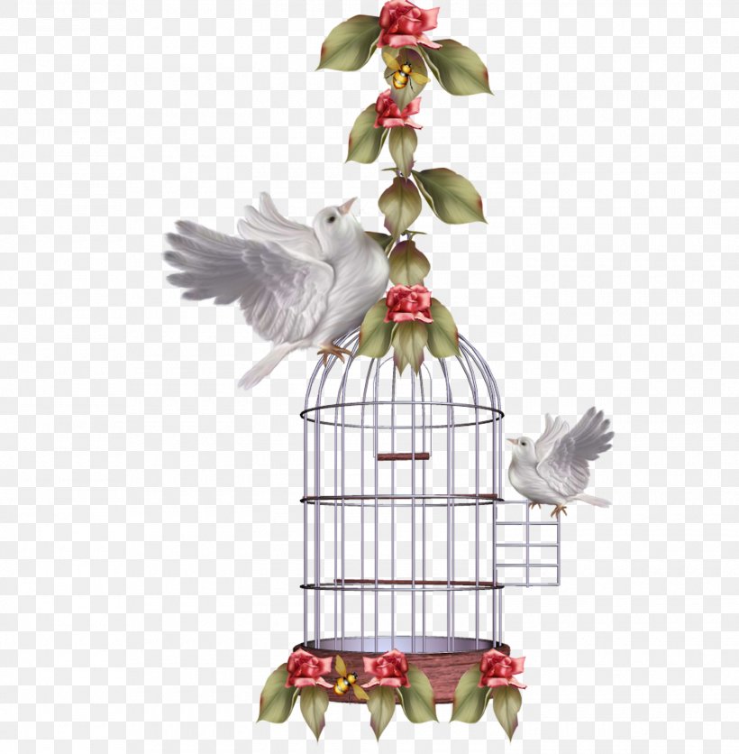 Flowers Background, PNG, 1500x1530px, Bird, Animal, Anthurium, Bird Supply, Birdcage Download Free