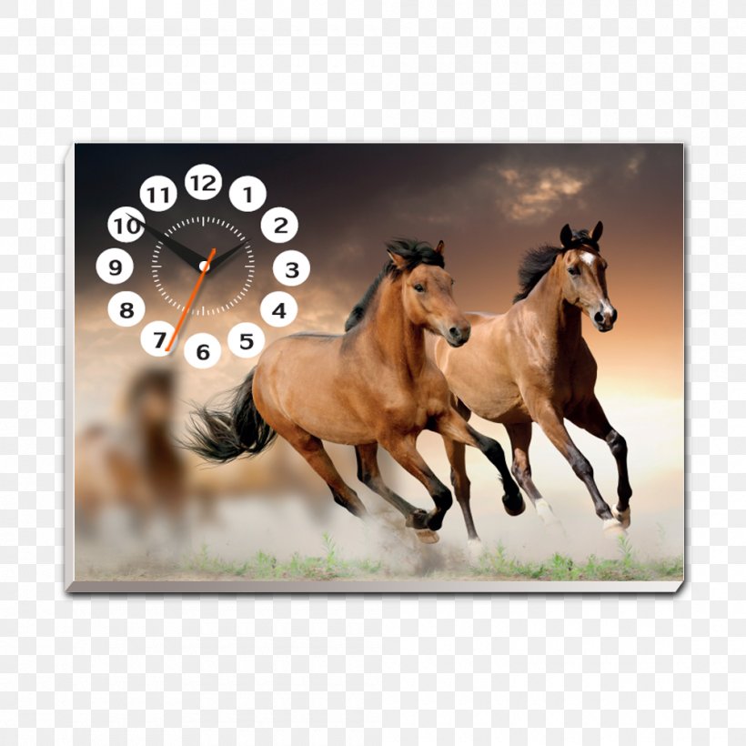 Horse Stallion Desktop Wallpaper Wallpaper, PNG, 1000x1000px, Horse, Art, Canvas, Colt, Fauna Download Free