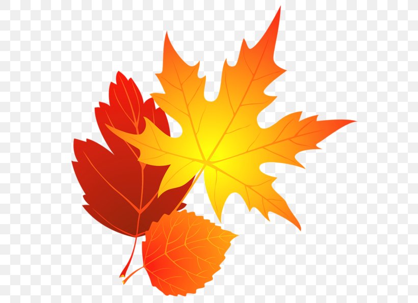 Autumn Leaf Color Maple Leaf Clip Art, PNG, 600x595px, Autumn, Autumn Leaf Color, Blog, Color, Drawing Download Free