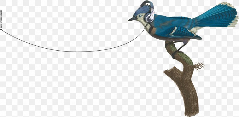 Blue Jay Bird Beak, PNG, 1800x884px, Watercolor, Cartoon, Flower, Frame, Heart Download Free