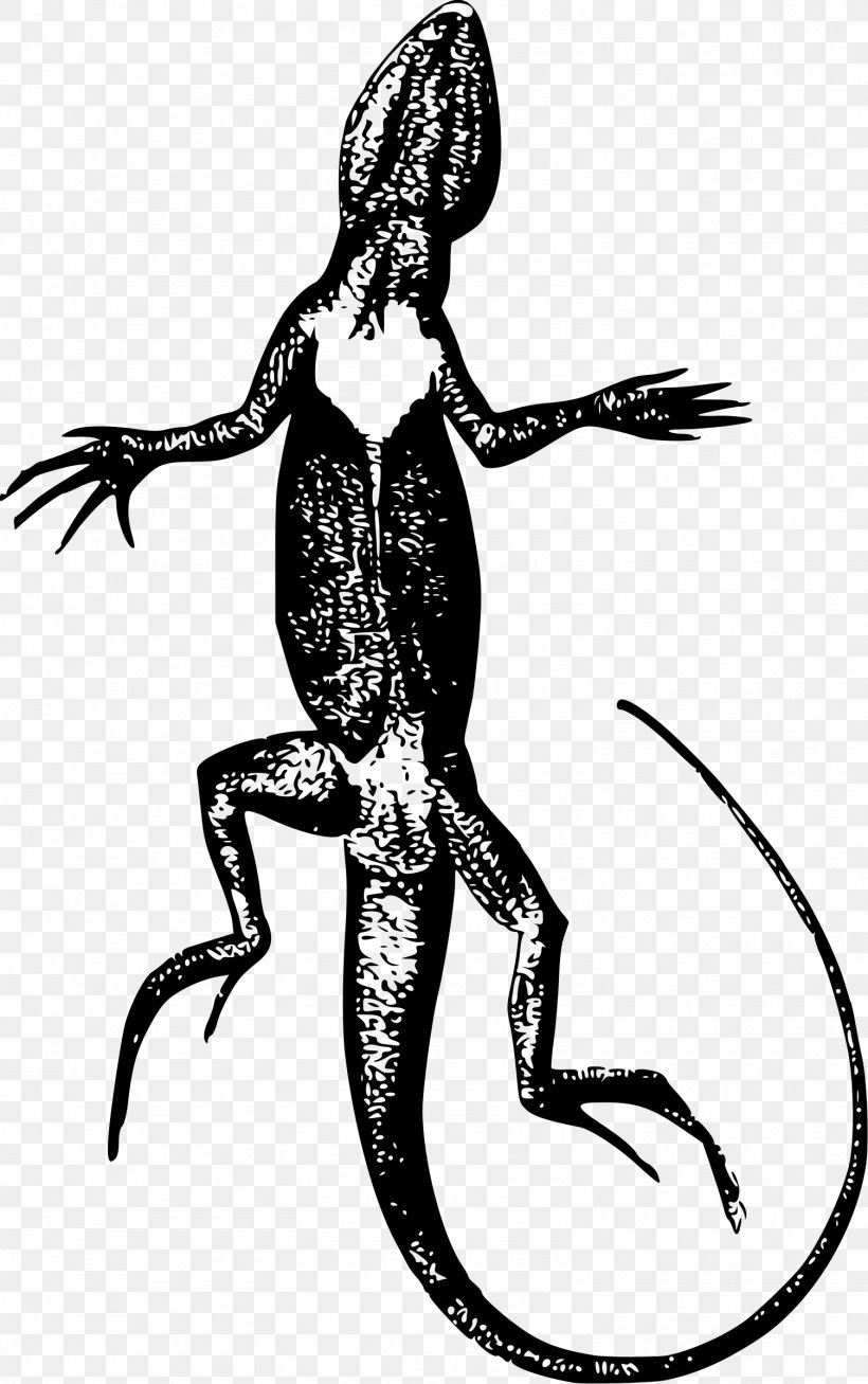 Lizard Reptile Clip Art, PNG, 1505x2400px, Lizard, Animal, Art, Black And White, Chameleons Download Free