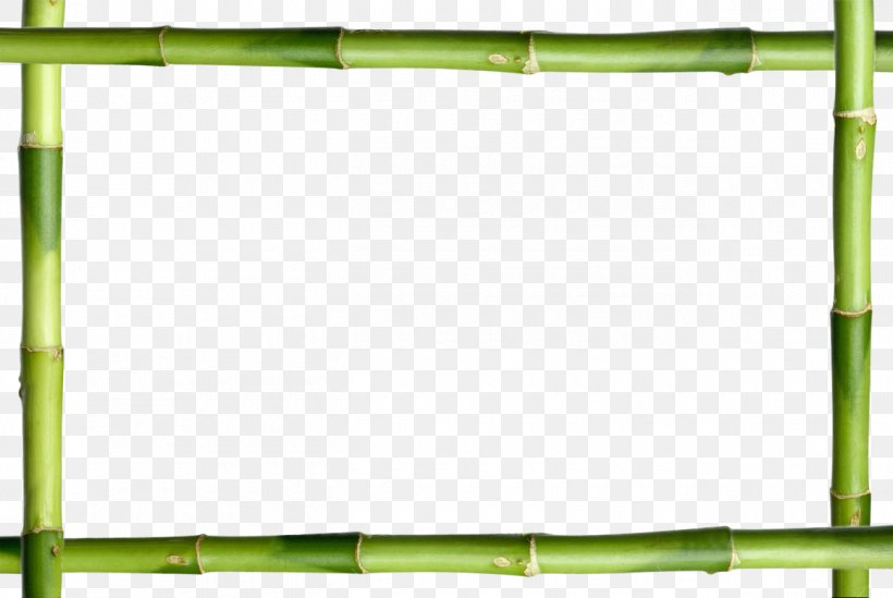 Picture Frames Lucky Bamboo Stock Photography Decorative Arts, PNG, 1300x871px, Picture Frames, Bamboo, Can Stock Photo, Decorative Arts, Grass Download Free