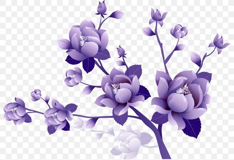 Clip Art Flower Floral Design Purple, PNG, 798x562px, Flower, Blossom, Blue, Branch, Color Download Free