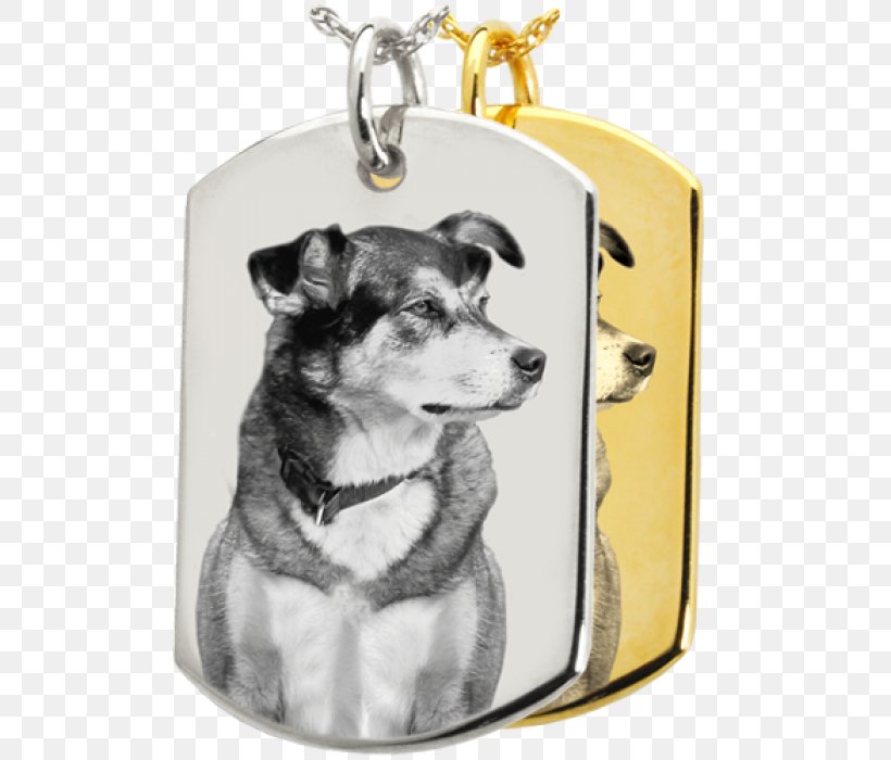 Dog Breed Puppy Jewellery Pet, PNG, 700x700px, Dog Breed, Animal Loss, Carnivoran, Charms Pendants, Cremation Download Free