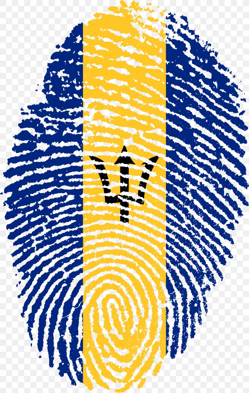 Flag Of Brazil Fingerprint, PNG, 1573x2488px, Brazil, Area, Black, Black And White, Fingerprint Download Free