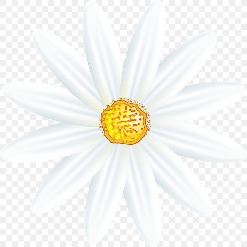 Flower White, PNG, 1198x1200px, Oxeye Daisy, Aster, Asterales, Camomile, Chamaemelum Nobile Download Free