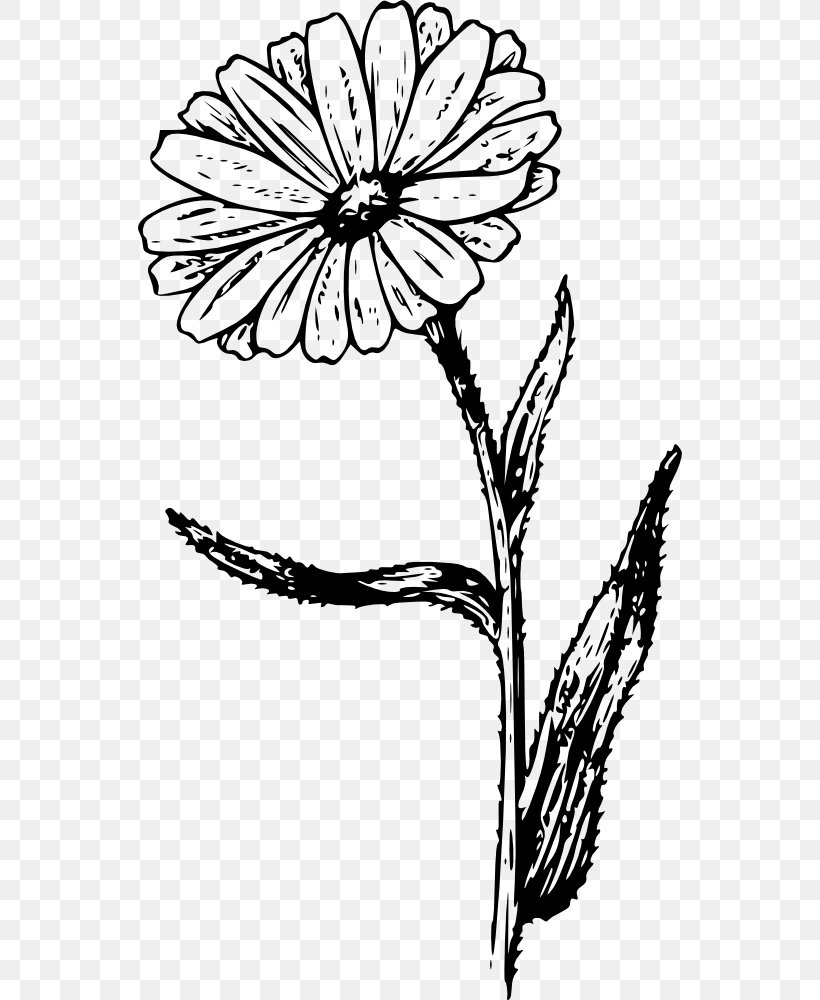 Marigold Line Art Clip Art, PNG, 544x1000px, Marigold, Artwork, Black And White, Branch, Butterfly Download Free