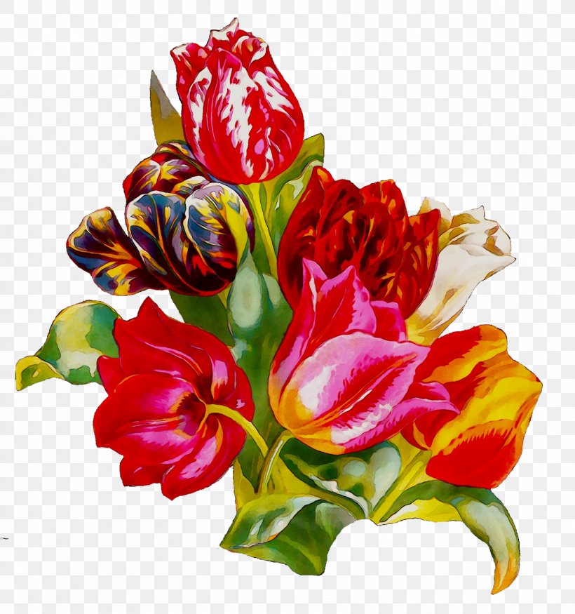 Tulip Floral Design Cut Flowers Clip Art, PNG, 1692x1807px, Tulip, Anthurium, Artificial Flower, Botany, Bouquet Download Free
