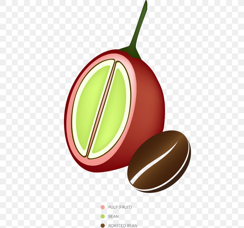Coffee Bean Qishr Illustration Cafe, PNG, 480x767px, Coffee, Apple, Berries, Cafe, Cherries Download Free