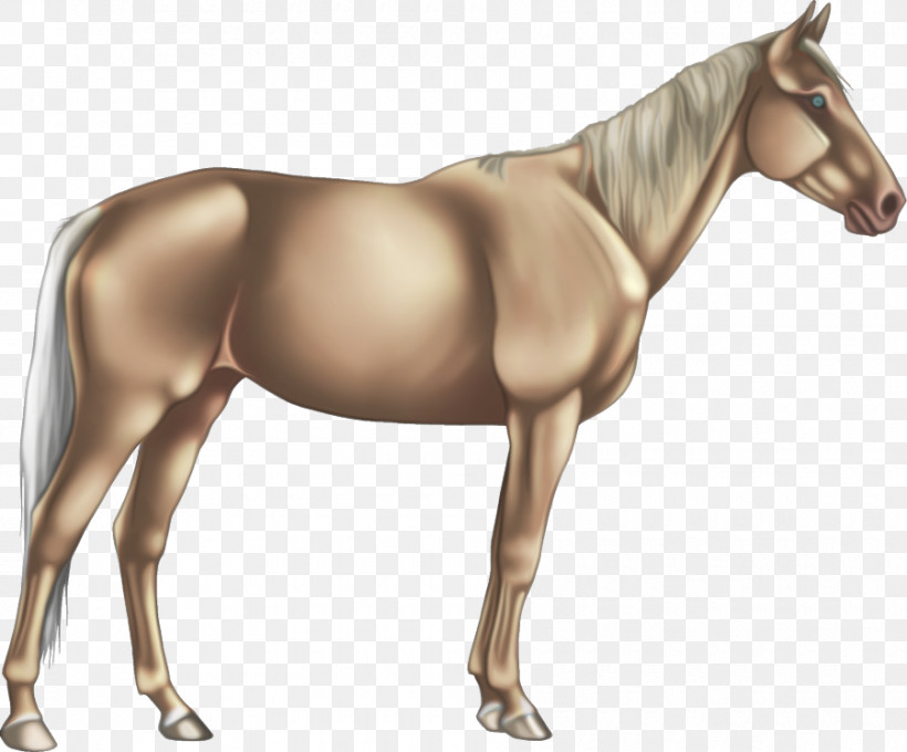 Horse Animal Figure Sorrel Mare Mane, PNG, 900x747px, Horse, Animal Figure, Colt, Liver, Mane Download Free