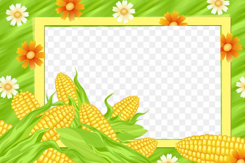 Picture Frames Maize Sweet Corn, PNG, 1600x1066px, Picture Frames, Corn Maze, Flora, Flower, Flowering Plant Download Free