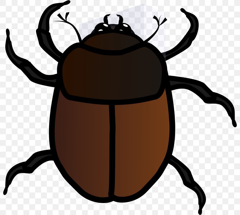 Volkswagen Beetle Ladybird Clip Art, PNG, 800x737px, Beetle, Artwork, Cardinal Beetle, Colorado Potato Beetle, Drawing Download Free