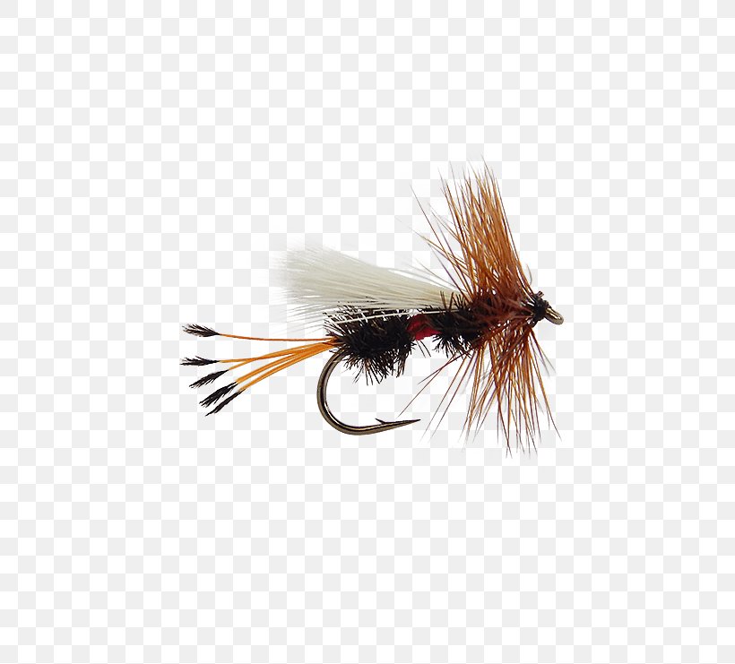 Artificial Fly Insect Royal Coachman Nymph, PNG, 555x741px, Artificial Fly, Coachman, Fishing Bait, Fishing Lure, Fly Download Free