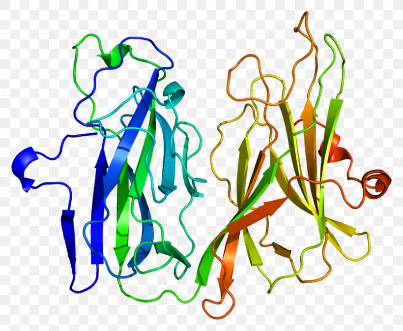 Peptidylglycine Alpha-amidating Monooxygenase Peptidylglycine Monooxygenase Enzyme Protein, PNG, 899x738px, Watercolor, Cartoon, Flower, Frame, Heart Download Free