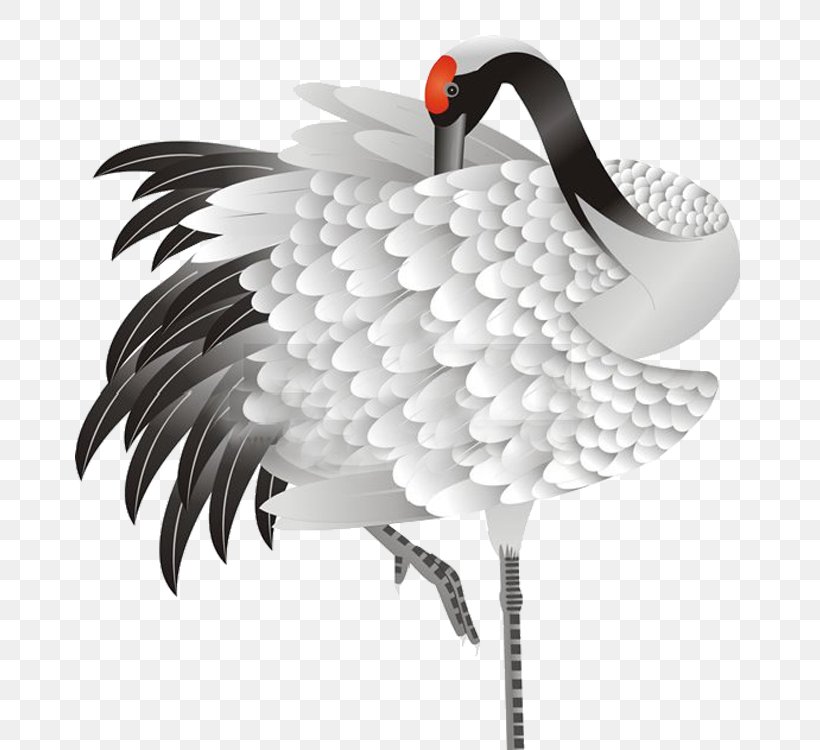 Red-crowned Crane Bird Siberian Crane Plumage, PNG, 750x750px, Redcrowned Crane, Beak, Bird, Crane, Crane Like Bird Download Free