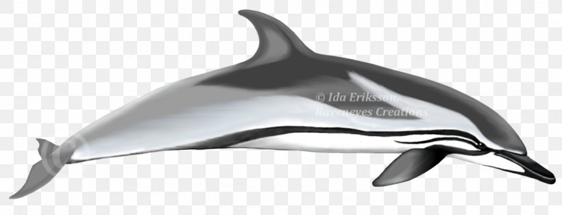 Short-beaked Common Dolphin Common Bottlenose Dolphin Tucuxi Striped Dolphin Rough-toothed Dolphin, PNG, 1151x442px, Shortbeaked Common Dolphin, Animal Figure, Atlantic Spotted Dolphin, Black And White, Cetacea Download Free
