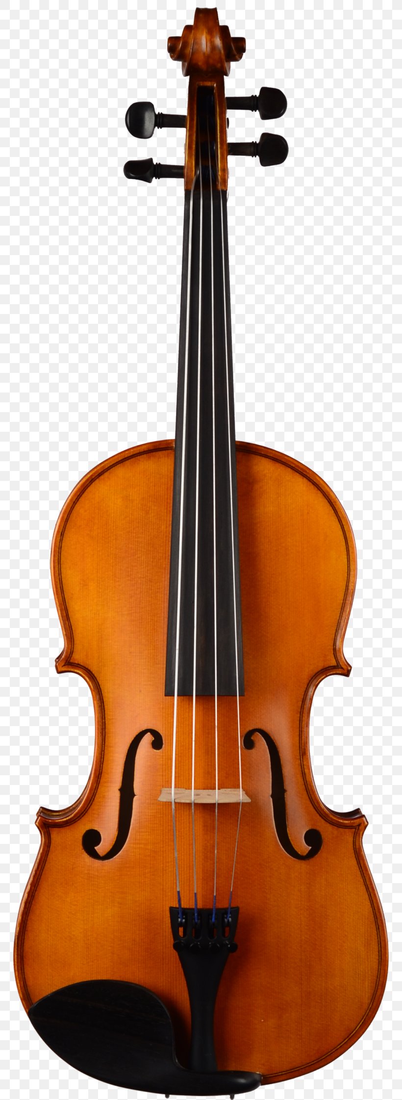 Yamaha V3 Student Violin Yamaha Violin 4/4 V20SG Violins 4/4 Violins Musical Instruments Yamaha Corporation, PNG, 768x2242px, Violin, Bass Guitar, Bass Violin, Bowed String Instrument, Cello Download Free
