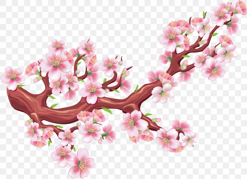Cherry Blossom Drawing Illustration, PNG, 3264x2370px, Cherry Blossom, Blossom, Branch, Drawing, Flower Download Free