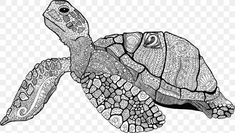 Sea Turtle Drawing Line Art Turtle Shell, PNG, 2238x1276px, Turtle, Adult, Animal, Animal Figure, Artwork Download Free