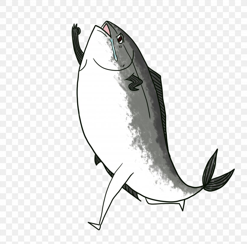 Illustration Marine Mammal Fish, PNG, 3000x2957px, Marine Mammal, Fish, Mammal, Seafood Download Free