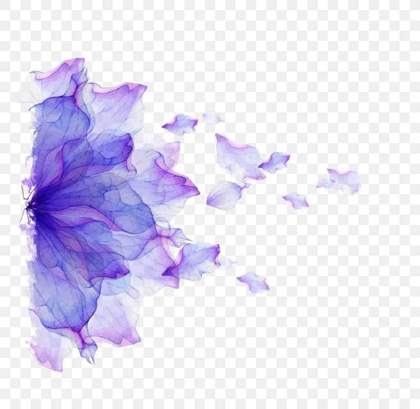 Laptop Flower Purple Petal, PNG, 800x800px, Laptop, Flower, Lavender, Lilac, Petal Download Free