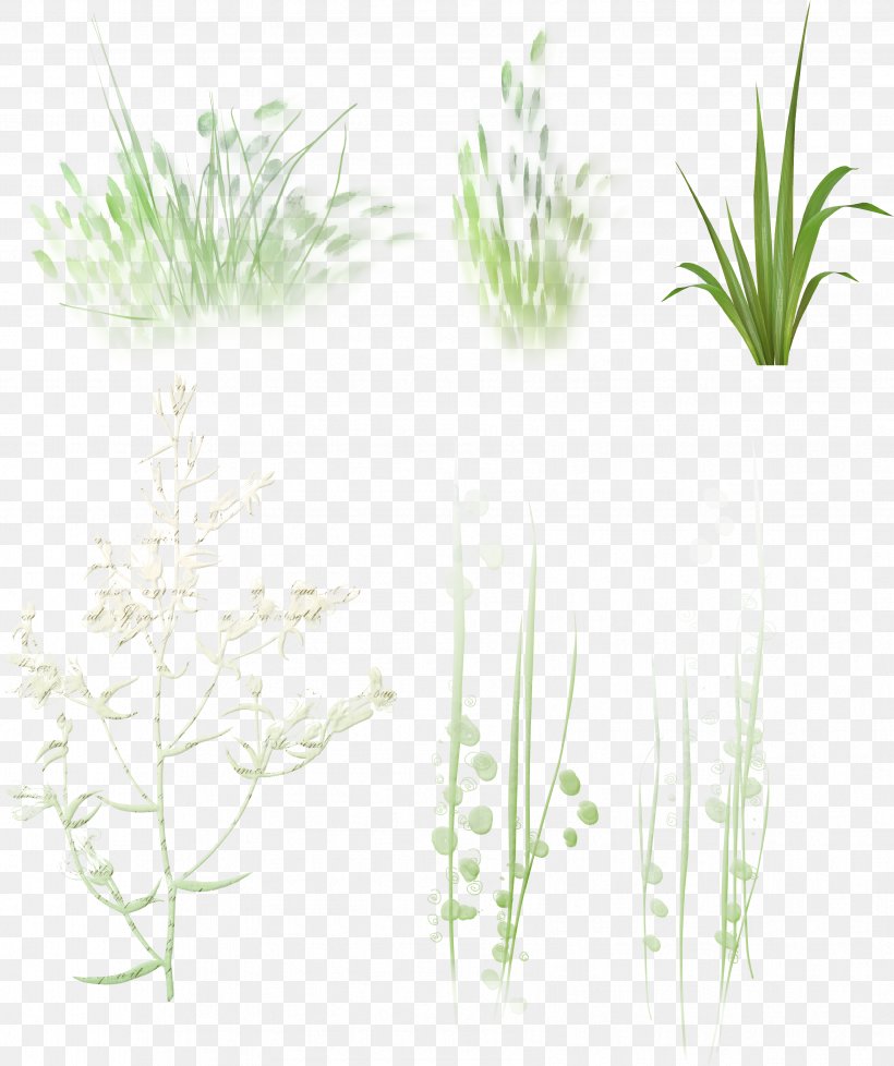 Megabyte Clip Art Plant Stem Herb, PNG, 3404x4061px, Megabyte, Aquarium Decor, Flora, Flowerpot, Grass Download Free