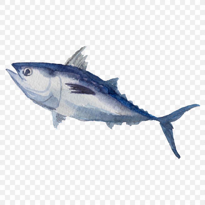 Watercolor Painting Illustration Stock Photography Royalty-free Drawing, PNG, 1024x1024px, Watercolor Painting, Albacore Fish, Atlantic Bluefin Tuna, Atlantic Spanish Mackerel, Bonyfish Download Free