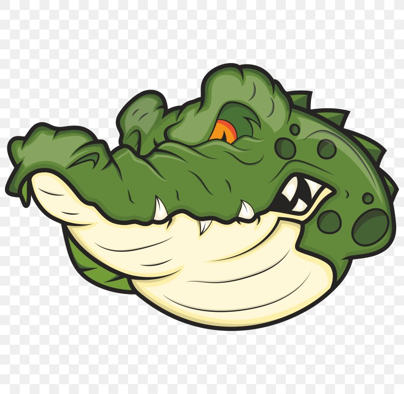 Alligator Crocodile Clip Art, PNG, 800x800px, Alligator, Alligators, Amphibian, Can Stock Photo, Crocodile Download Free