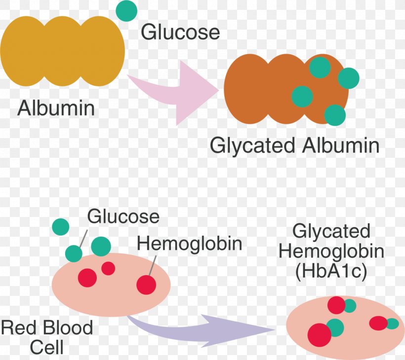 Glycation Hemoglobin A1C Fructosamine Diabetes Mellitus Albumin, PNG, 1280x1141px, Glycation, Albumin, Amadori Rearrangement, Area, Blood Download Free