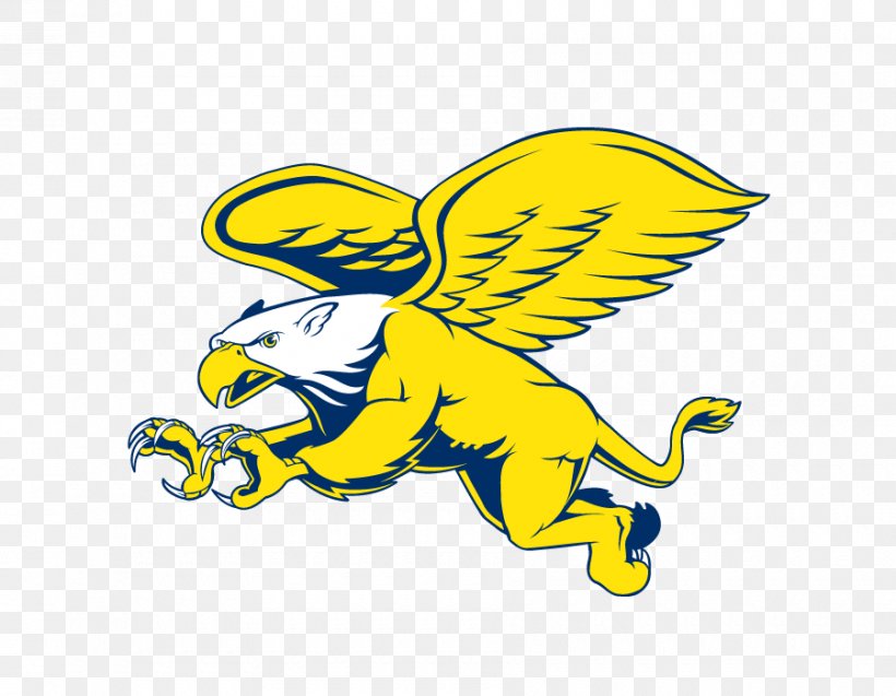 Canisius Golden Griffins Womens Basketball Canisius College Logo, PNG, 900x700px, Canisius College, Area, Art, Basketball, Canisius Golden Griffins Download Free