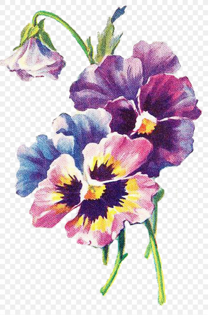 Floral Design Art Pansy Decoupage, PNG, 1716x2598px, Floral Design, Art, Cut Flowers, Decoupage, Flower Download Free