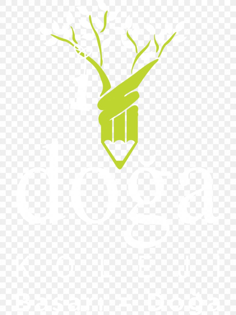 Logo Sticker Green Desktop Wallpaper, PNG, 1200x1600px, Logo, Branch, Brand, Computer, Grass Download Free