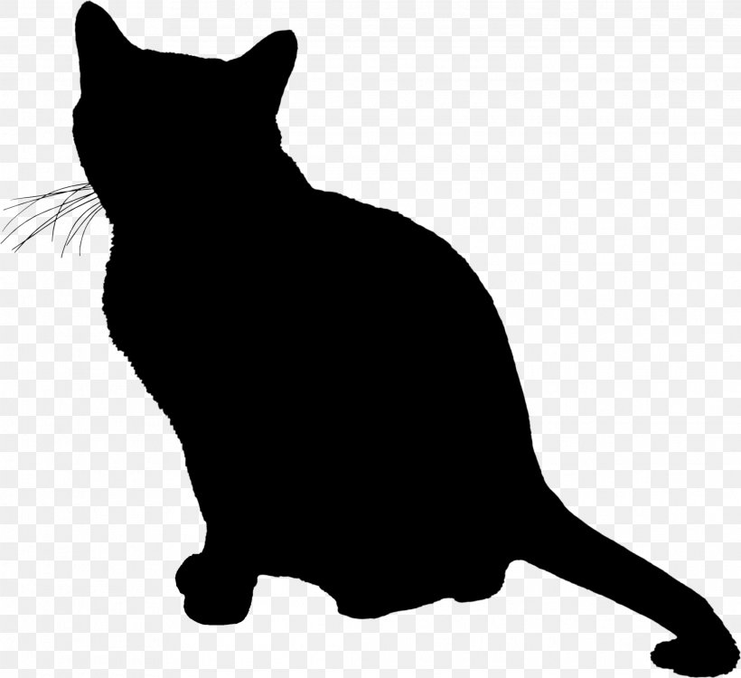 Whiskers Wildcat Domestic Short-haired Cat Dog, PNG, 2233x2044px, Whiskers, American Bobtail, Asian, Black, Black Cat Download Free