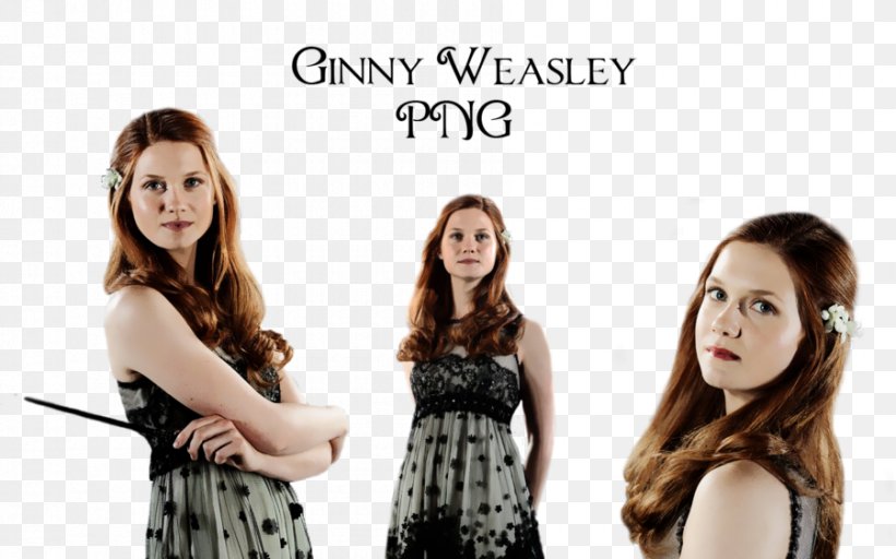 Ginny Weasley Harry Potter Kingsley Shacklebolt Weasley Family, PNG, 900x563px, Watercolor, Cartoon, Flower, Frame, Heart Download Free