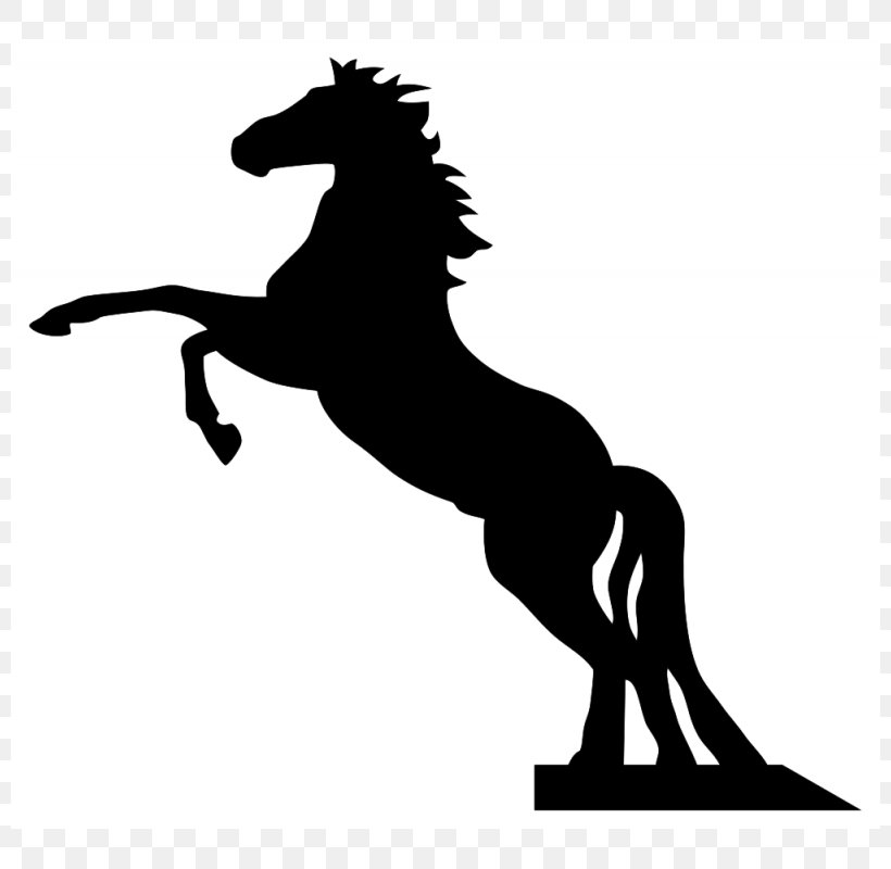 Horse Stencil Silhouette Paper Clip Art, PNG, 800x800px, Horse, Aerosol Paint, Black And White, Colt, Craft Download Free