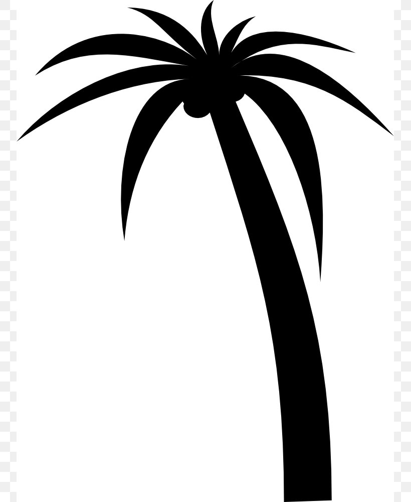 Arecaceae Drawing Tree Clip Art, PNG, 753x1000px, Arecaceae, Arecales, Black And White, Branch, Drawing Download Free