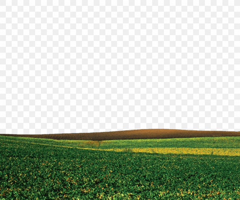 Desktop Wallpaper Clip Art, PNG, 1024x853px, Grassland, Agriculture, Blog, Computer, Crop Download Free