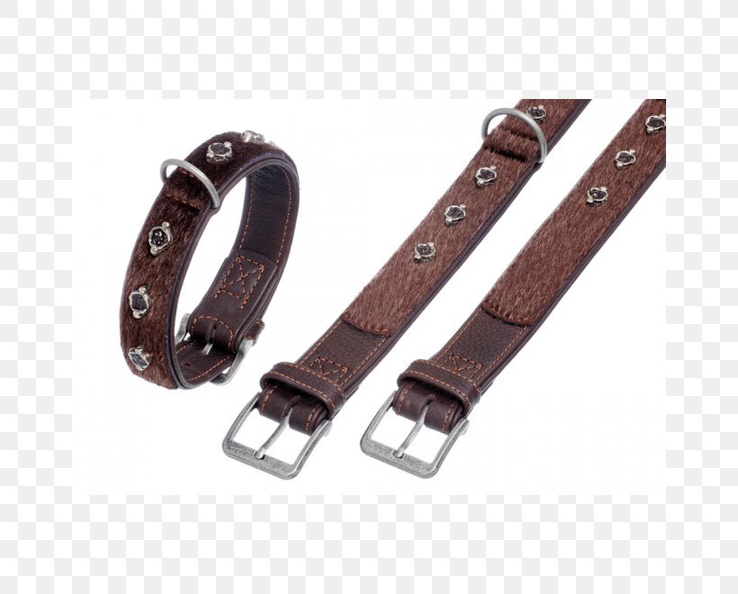 Dog Collar Dog Collar Leash Leather, PNG, 660x660px, Dog, Belt, Black, Bont, Collar Download Free