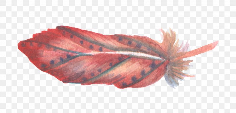 Red Watercolor Painting Feather, PNG, 2208x1064px, Red, Color, Feather, Leaf, Photography Download Free