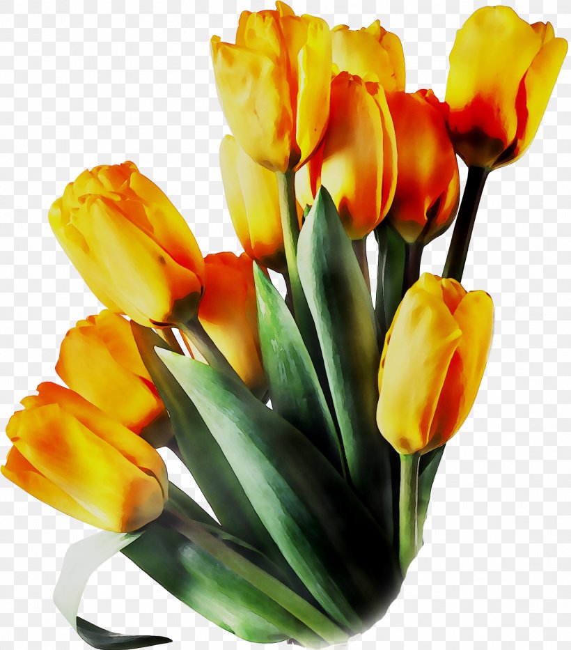 Tulip Floral Design Cut Flowers Flower Bouquet, PNG, 2217x2525px, Tulip, Artificial Flower, Botany, Bouquet, Bud Download Free
