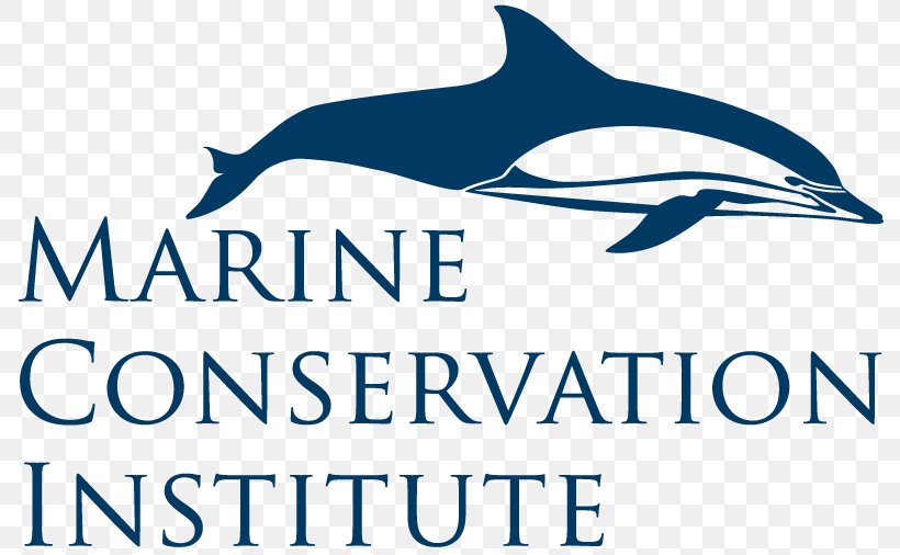 World Ocean Marine Conservation Institute Earth, PNG, 800x506px, World Ocean, Brand, Common Bottlenose Dolphin, Conservation, Deep Sea Download Free