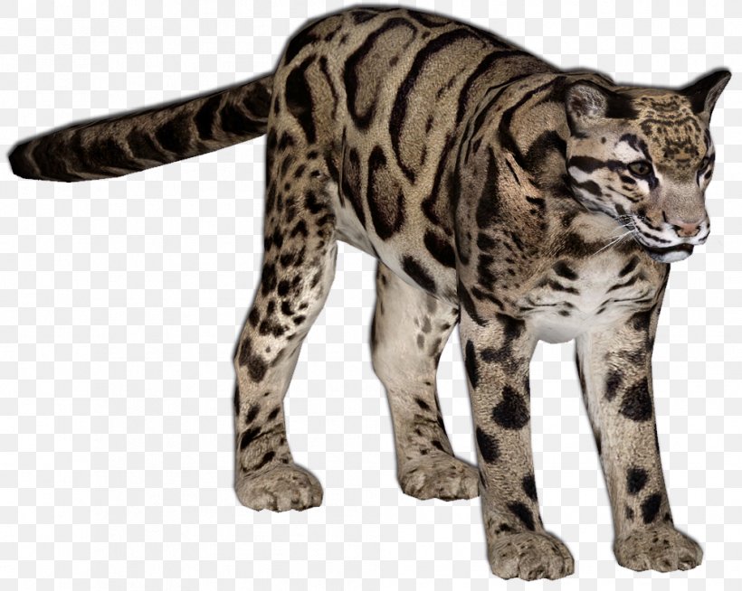 Zoo Tycoon 2 Felidae Amur Leopard Ocelot, PNG, 994x793px, Zoo Tycoon 2, Amur Leopard, Animal, Big Cats, Carnivora Download Free