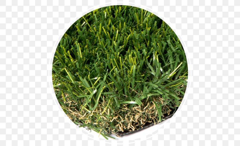 Artificial Turf Lawn Landscape Grasses, PNG, 500x500px, Artificial Turf, Climate, Economy, Grass, Grass Family Download Free