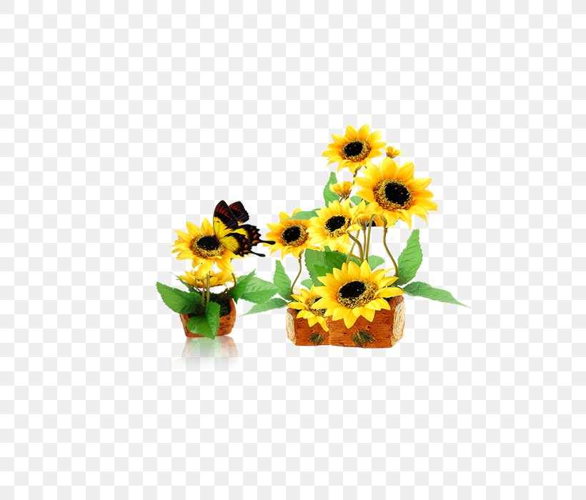 Common Sunflower Yellow, PNG, 700x700px, Common Sunflower, Artificial Flower, Color, Cut Flowers, Daisy Family Download Free
