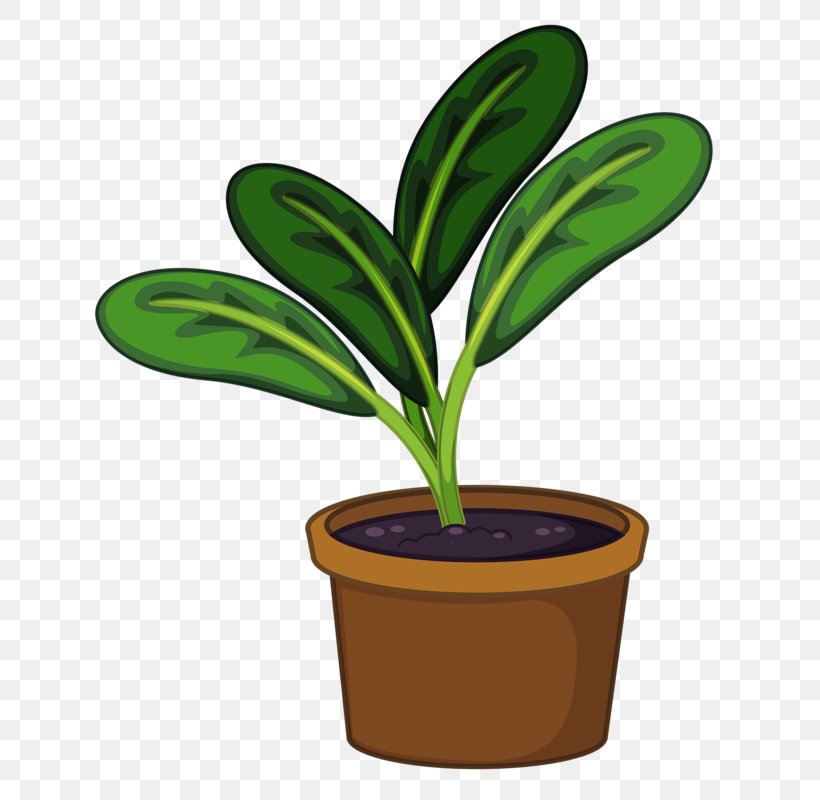 Flowerpot Houseplant Clip Art, PNG, 659x800px, Flowerpot, Flower, Flowering Plant, Garden, Houseplant Download Free